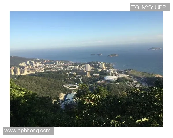 大连滨海学校足球明星崭露头角引领校园运动新风尚