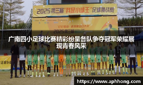 广南四小足球比赛精彩纷呈各队争夺冠军荣耀展现青春风采