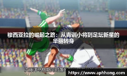 OB电竞